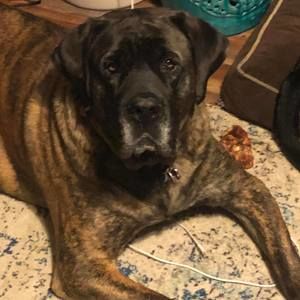 Meet your Posher, Ruth